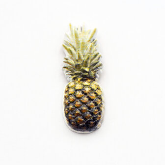 Pins4you, Pin-apple