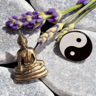 Pins4you, Lucky Buddha &amp; Yin&amp;Yang