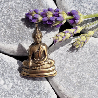 Pins4you, Lucky Buddha