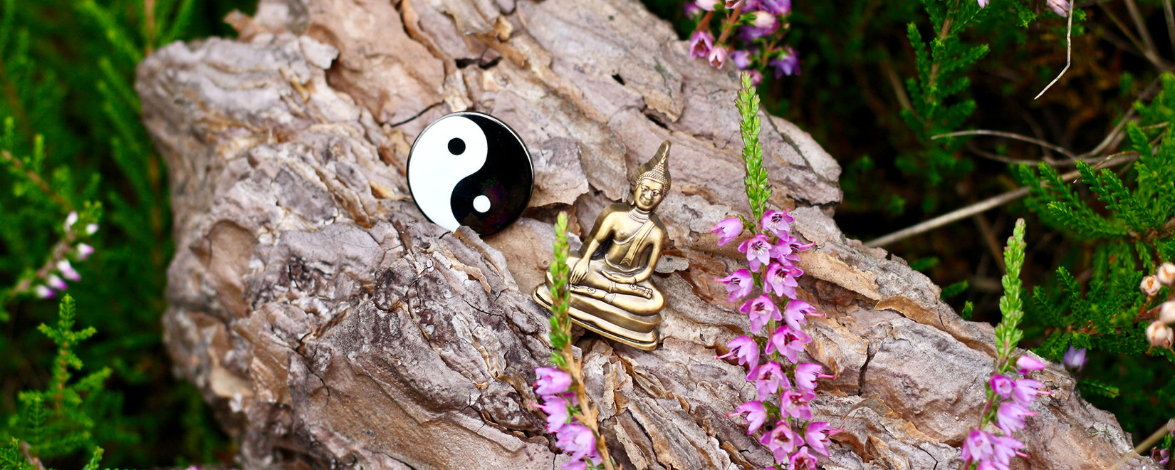 Pins4you%20Header%20Zen%20Pins_nl.jpg